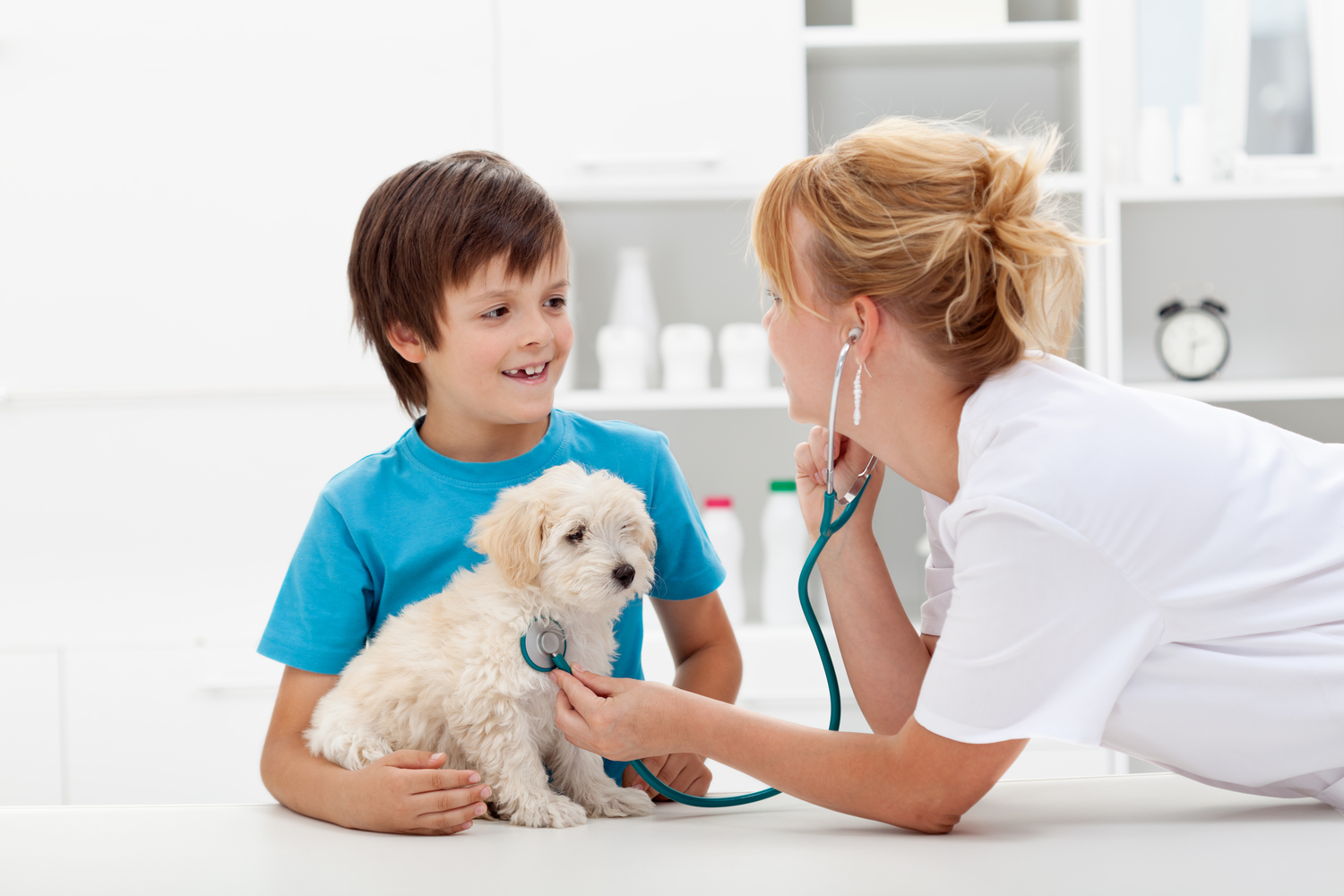 Types of Coverage Provided by Pet Insurance