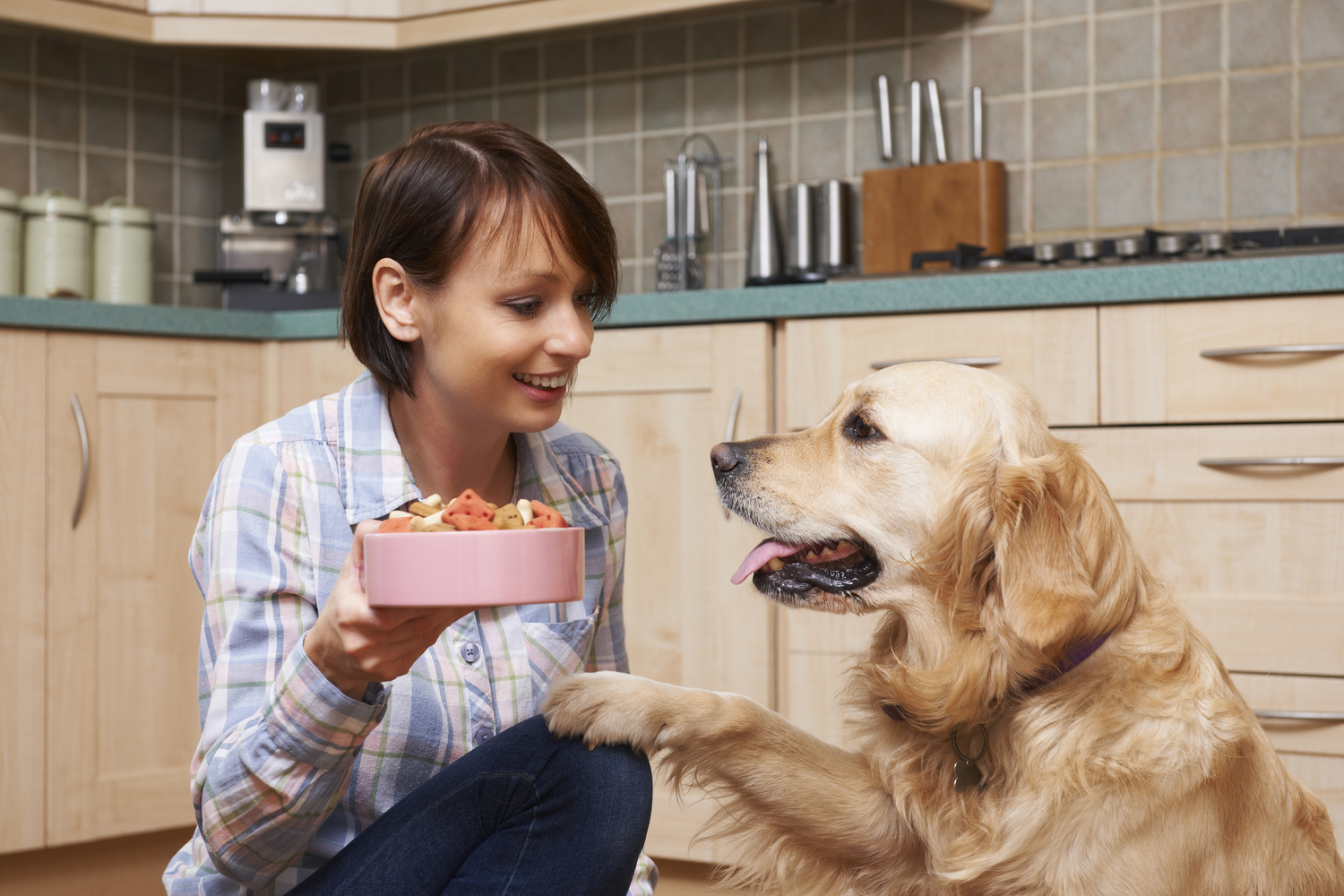 Healthy Homemade Dog Food Recipes